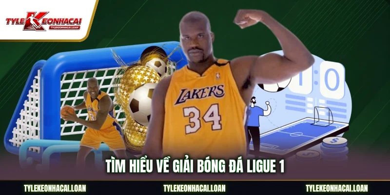 Tìm hiểu về giải bóng đá Ligue 1